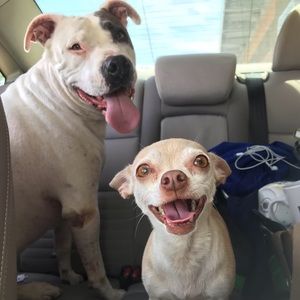 Meet your Posher, Samantha